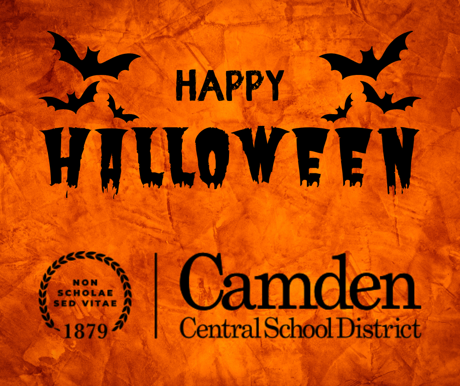 Live Feed McConnellsville Elementary School