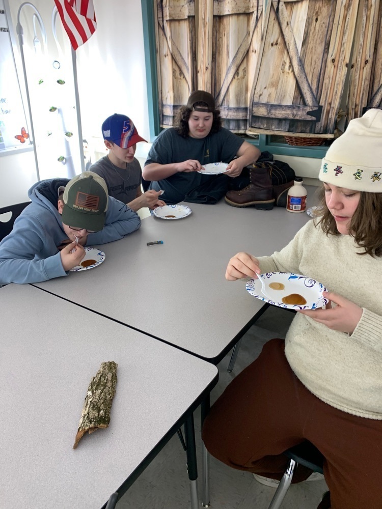 Students Tasting Maple Syrup